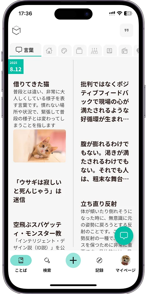 辞書レイアウト